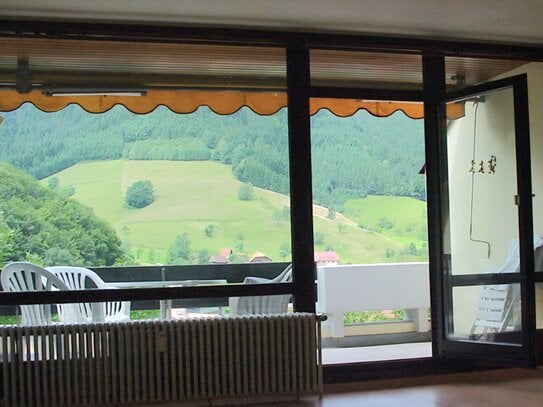 Sonnige, ruhige 1-Zimmer-Dachterrassen-Wohnung in Wolfach