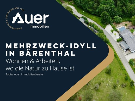 Mehrzweck-Idyll in Bärenthal - Wohnen & Arbeiten, wo die Natur zu Hause ist