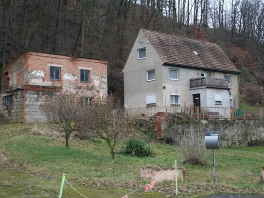 *Hirschstein - EFH mit großzügigem Grundstück*