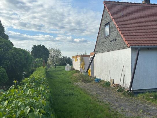 *Ein Traum zum selbst gestalten* DHH im grünen sucht fleißige Mitbewohner