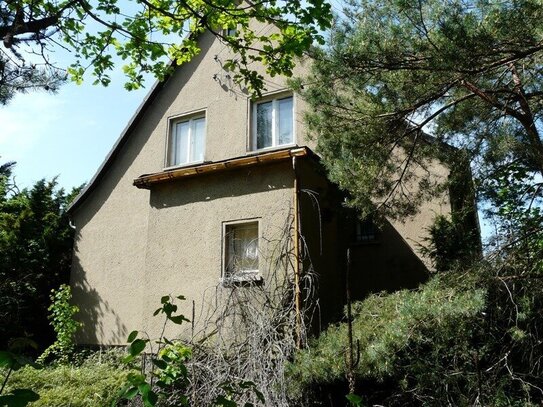 DHH in grüner Umgebung DDR Stand mit Dachaußenhaut nach 1990