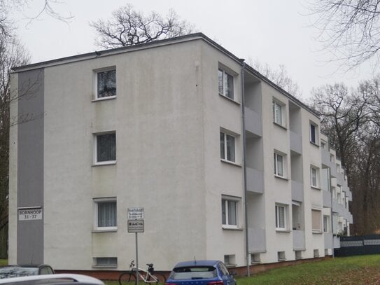 Renovierte 2 Zimmer Wohnung Rabenberg