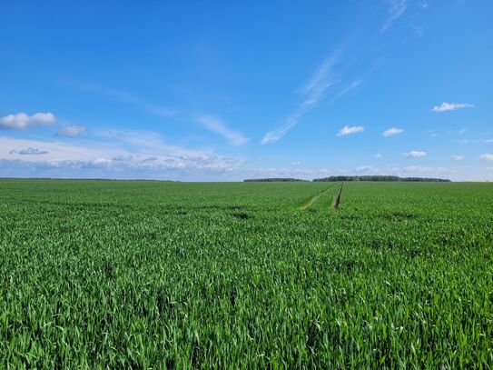 125 ha Grundbesitz zwischen Kyritz und Nauen, Amt Friesack