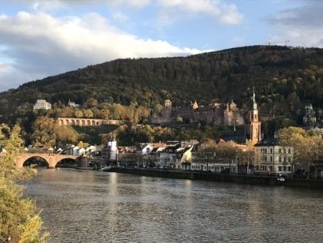 Grosszügige, möbilierte Zwei-Zimmer-Wohnung mit Blicklage in Heidelberg Neuenheim