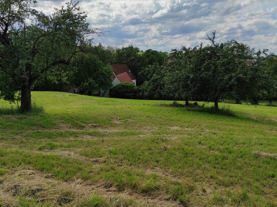 Naturnahe historische Mühle mit arrondierten Flächen inklusive Gewerbeflächen in Waiblingen