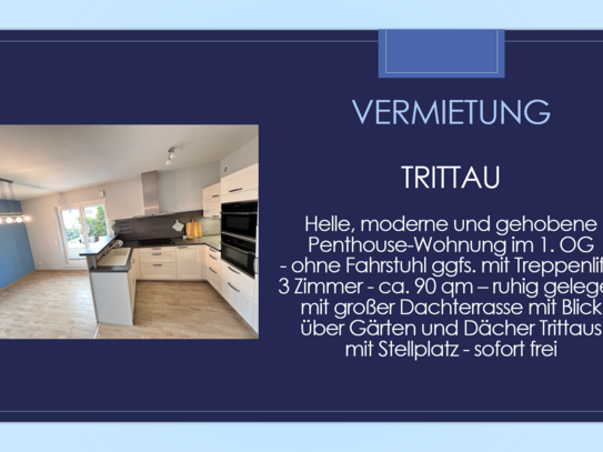 Penthouse-Wohnung mit großer Dachterrasse in ruhiger Lage