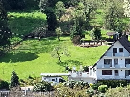 Mehrgenerationenhaus m. Büro, WP, am Schlosspark mit 2500 m² Grundstück in Kappelrodeck