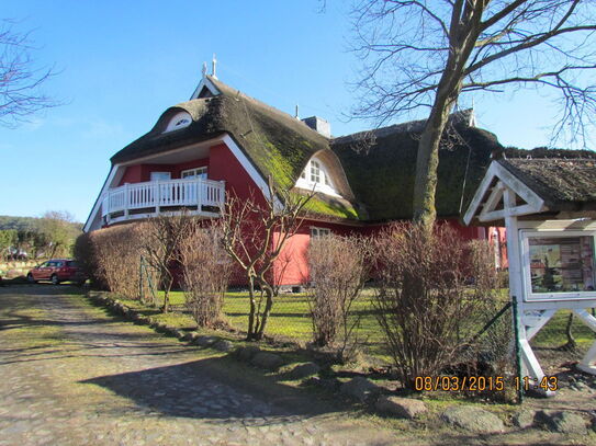 Ferienjuwel unter Reet im beschaulichen Fischerdorf