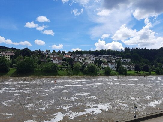 Charmantes Häuschen mit herrlichem Neckarblick