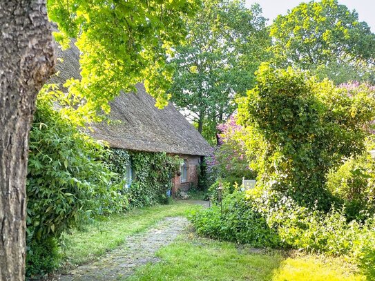 Charmante historische Reetdachkate mit großer Ausbaureserve und altem Baumbestand