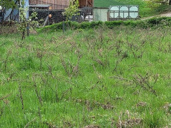 Wald- und Wiesengrundstück zu verkaufen