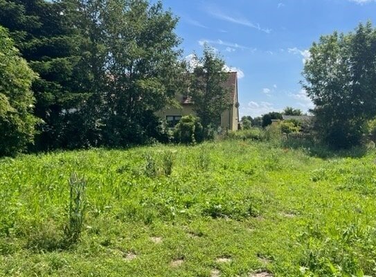 Wohnbaugrundstück in besonderer Lage Nahe Ostseebad Rerik