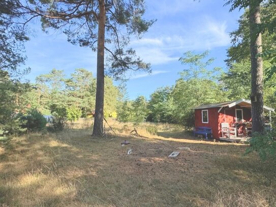 großes Baugrundstück direkt am Waldrand zur Neubebauung für Ihr Traumhaus