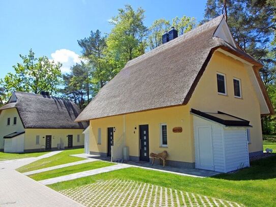 Neubau-Reetdachhäuser auf Usedom ohne Käuferprovision