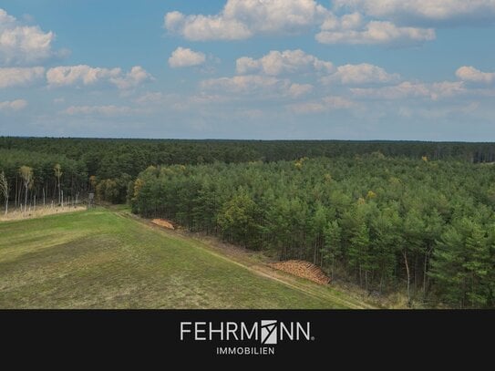 Forst- und landwirtschaftliche Flächen in der Gemarkung Theeßen zum Kauf