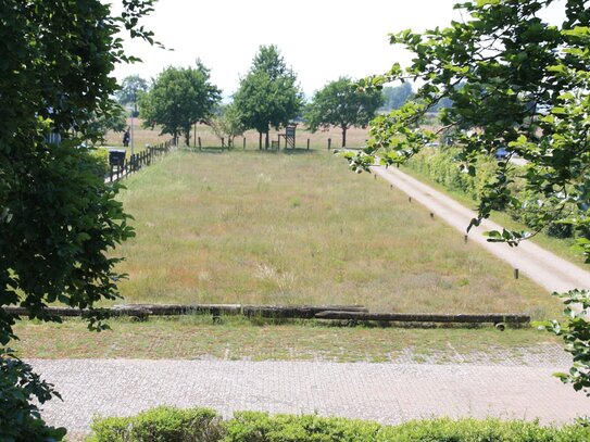 Baugrundstück im Ostseebad Koserow - frei und vollerschlossen