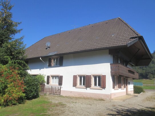 Schwarzwaldhaus (Sanierungsobjekt) mit weiterem Baufenster, ca. 1.500 m²-Grundstück, im vorderen Münstertal, viels. Inf…