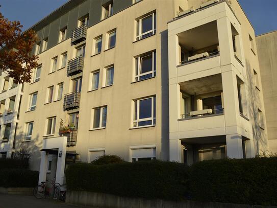 Renovierte 3 Zimmer Wohnung mit EBK und Terrasse!