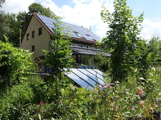 Facettenreiches Anwesen mit vielen Extras für Naturliebhaber mit Bachlauf, Balkon, Badeteich, Wintergarten...