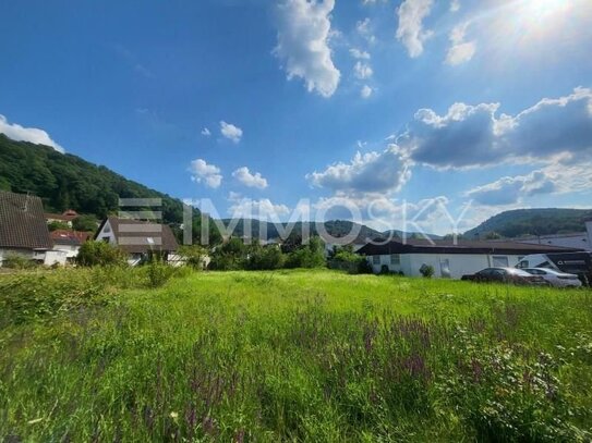 ** Traumhaftes Grundstück mit Blick zur Limburg **