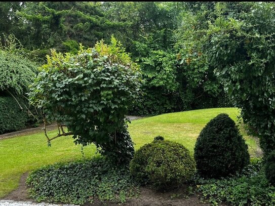 Gartenhaus mit Baugrundstück in Luckau