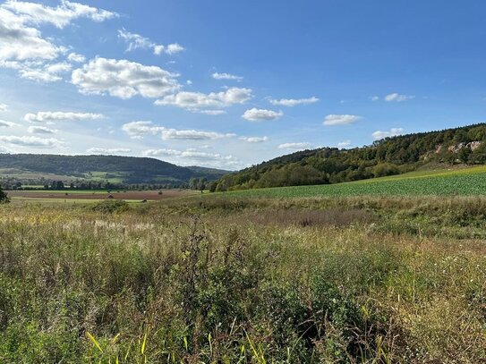 Baugrundstück in Alheim Heinebach