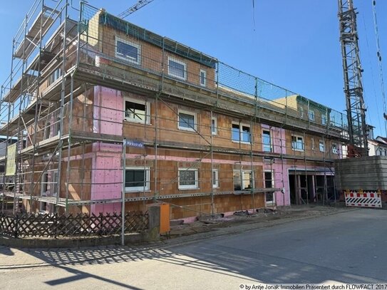 Moderne 4,5 Zimmer-Wohnungen mit sonnigem Balkon in Riederich