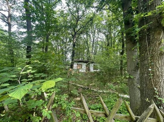 +++ Großes Gartengrundstück im Erholungsgebiet von Leißling +++