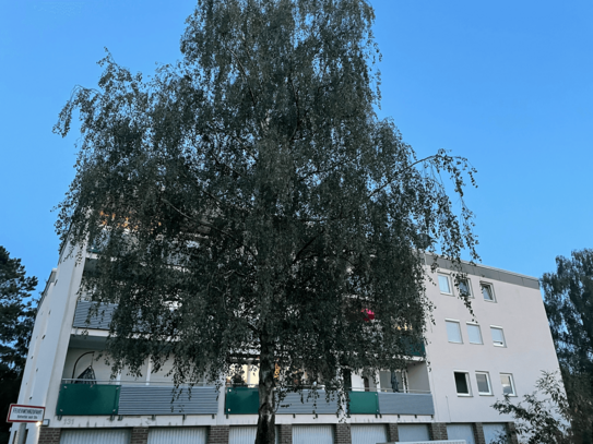 Schmuckstück in beliebter Lage Bad Homburg Dornholzhausen