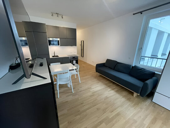 Stilvolle, neuwertige 1-Zimmer-Wohnung mit lux. Innenausstattung mit Balkon und EBK