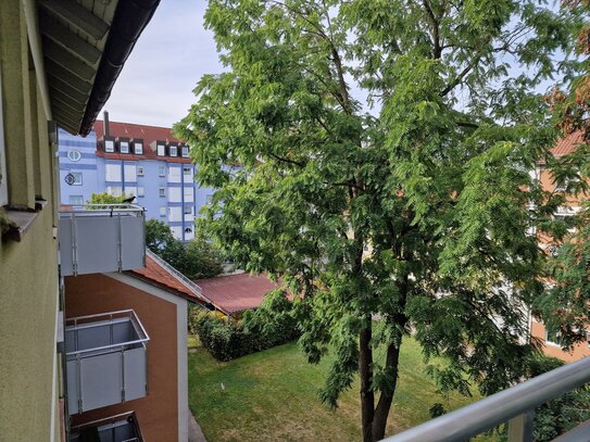 Balkon in den Baumkronen, Blick auf die Wiese, einfach super