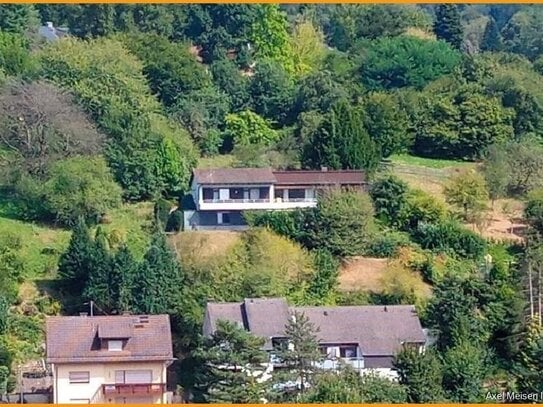 Axel Meisen Immobilien: Hügelthron - Naturidyll mit Weitblick