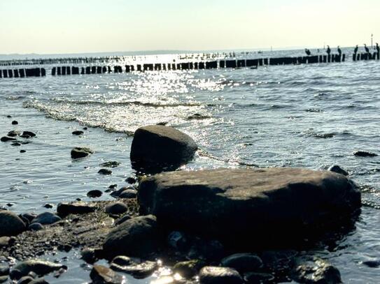 ~unweit des Bodden und der Ostsee~