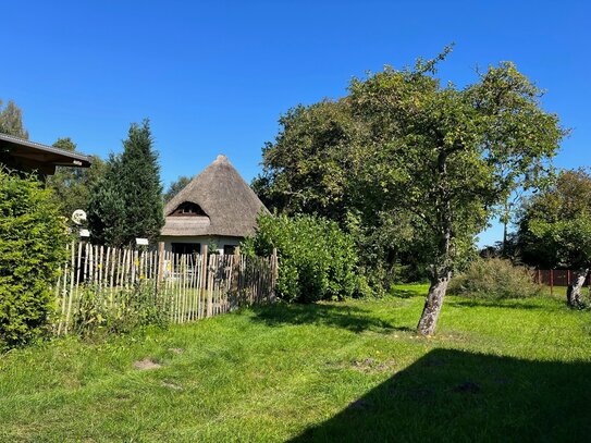 Idyllisches Baugrundstück direkt am Wald in Born a. Darß