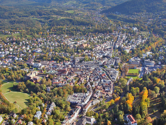 "Hofgut" in Baden-Baden, ideal auch zur Pferdehaltung / Tierhaltung aller Art!