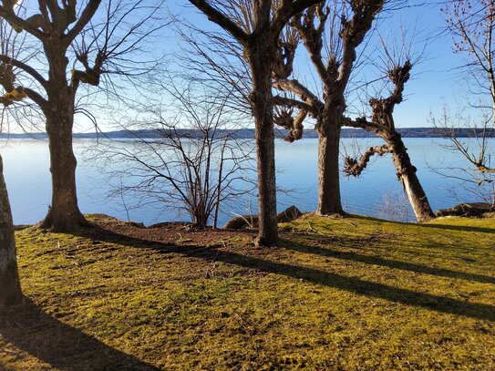 Baugrundstück in Ammerland nur 5 Gehminuten zum Sta See