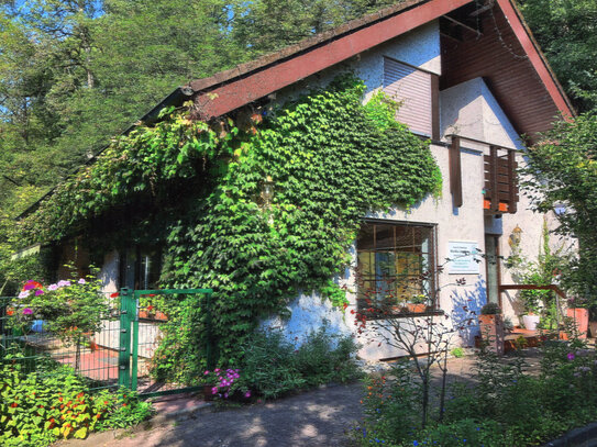 Idyllisch gelegenes Einfamilienhaus direkt am Naturschutzgebiet.