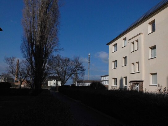 Erdgeschosswohnung, Erstbezug nach Sanierung