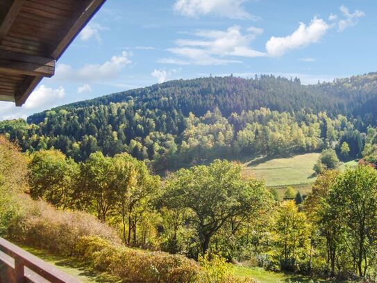 Ruhig gelegene 2-Zimmer-Wohnung mit traumhaftem Ausblick in 59955 Winterberg