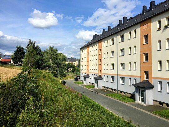 Elterlein/traumhafter Erzgebirgsblick/top renovierte 2-Zi Neubau/Balkon/Bad Fenster/Kamin/EBK