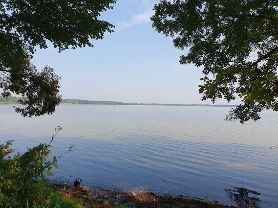 15754 Gemeinde Heidesee: Baugrundstück für großzügiges Eigenheim in absolut ruhiger, waldreicher Wohnlage nahe dem Wolz…