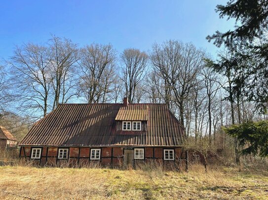 Historisches Juwel auf großem Grundstück in Dahlenburg: Ihr Traum-Sanierungsprojekt