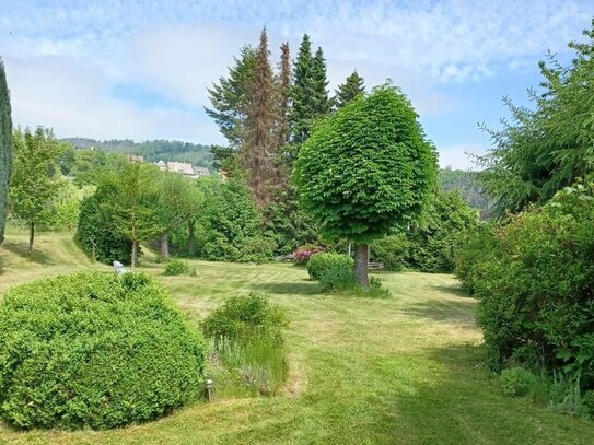 Zentral in Marsberg: Schenken Sie einem Stück gelebter Geschichte eine neue Zukunft.