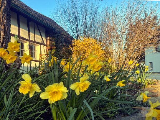 Authentisch & idyllisch: Historisches Backhaus mit Cottage-Flair in der Gartenstadt