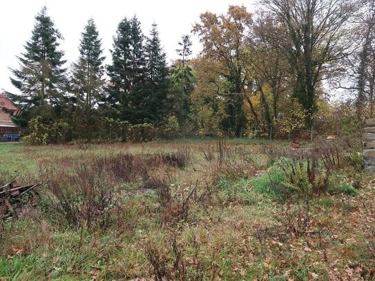 Superschnäppchen! Gartengrundstück für Freizeitgestaltung