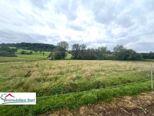 NATUR PUR! GRENZE LUXEMBURG: 40 AR IN TOP-LAGE!