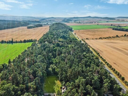 Waldgrundstück in Quedlinburg mit Gartenbungalow