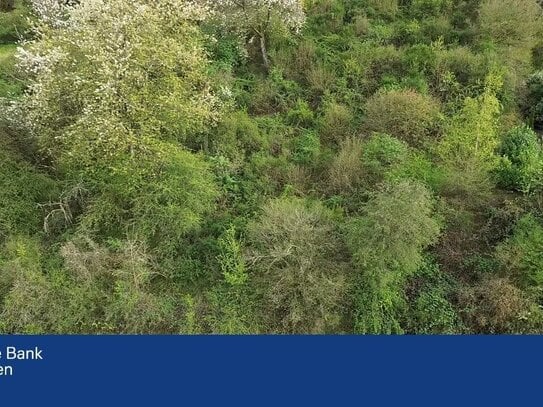 Baugrundstück mit traumhaftem Ausblick