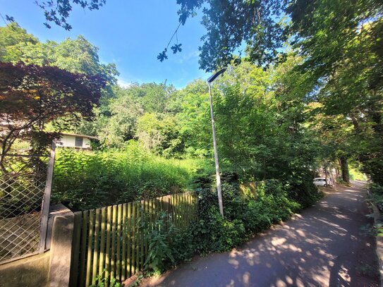 Sie suchen das Besondere? Reizvoller und wunderbar großzügiger Bauplatz am Südhang des Erlanger Burgbergs