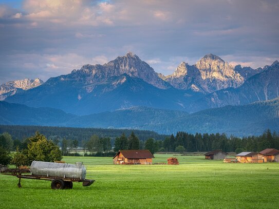 Eine neue Heimat für die ganze Familie